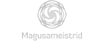 company image